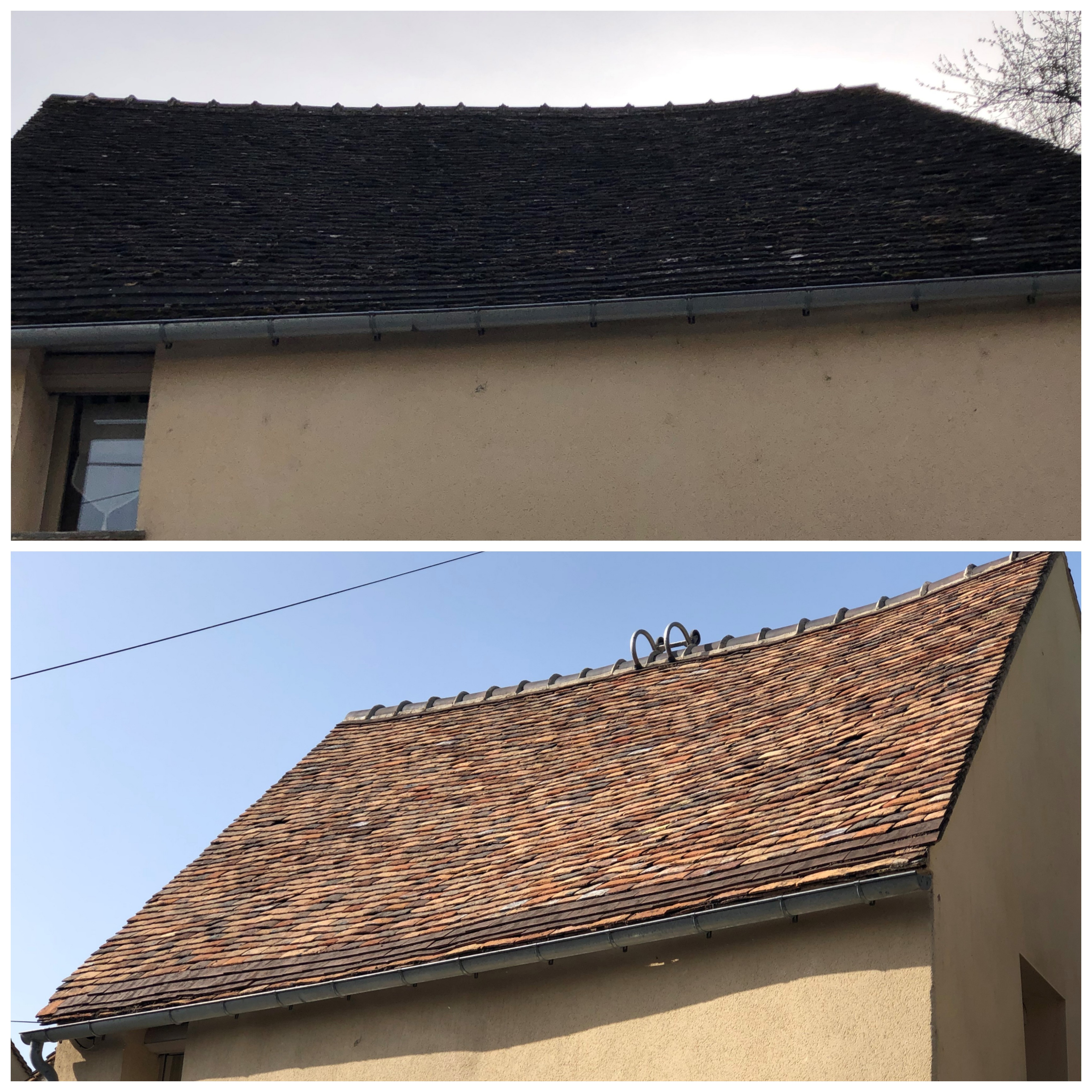 Démoussage Traitement et Hydrofuge